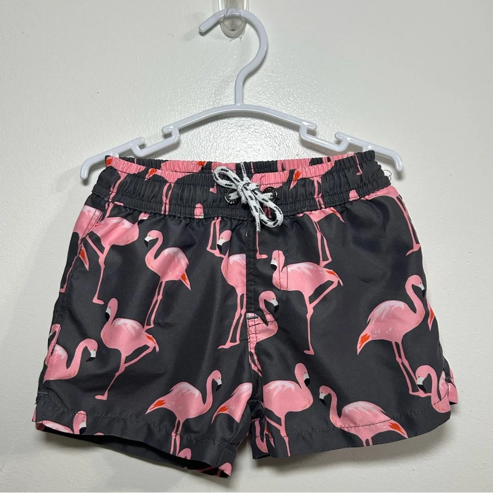 Snapper Rock Pink and Gray Flamingo Boys Swim Shorts